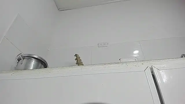 Sophie sweett19 online show from 23, 1, 2025