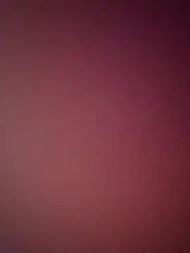 bustybillies online show from 3, 4, 2026