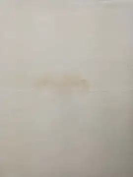 Rina777o online show from 30, 12, 2024