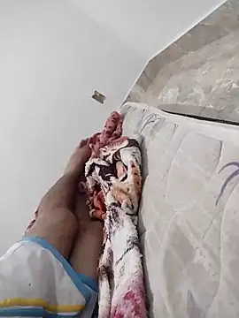 lm279 online show from 2, 2, 2025