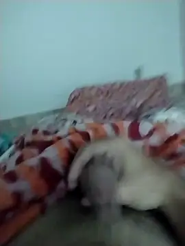 lm279 online show from 13, 2, 2025