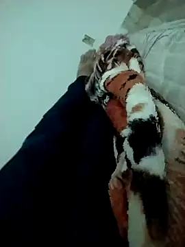 lm279 online show from 14, 2, 2025