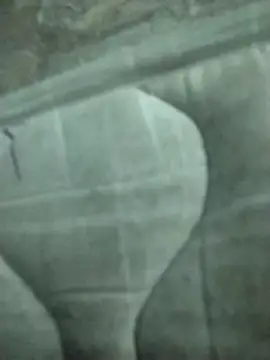 lm279 online show from 19, 2, 2025