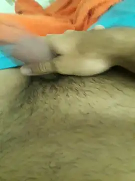 lm279 online show from 14, 11, 2025