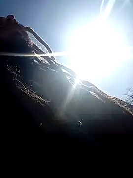 Snapshot of QcMisterv13 chatting on 14, 3, 2025 QcMisterv13 online show from 14, 3, 2025