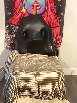 Gripperke00 online show from 26, 10, 2025