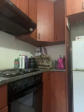 InkLady444 online show from 23, 2, 2025