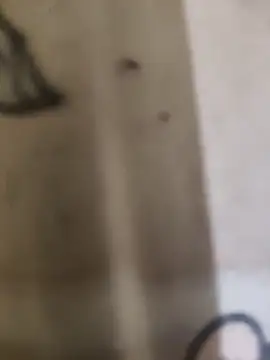 Snapshot of hard_cock99 chatting on 25, 9, 2025 hard cock99 online show from 25, 9, 2025