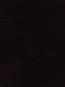 activo202 online show from 24, 4, 2026