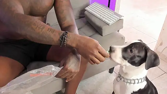 Dvid Rullers online show from 16, 9, 2025