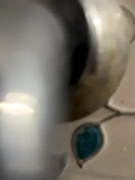 Shakeace1 online show from 1, 12, 2025