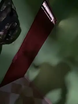 Alphadavid 23 online show from 26, 2, 2025