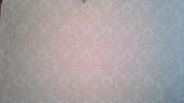 Kashtanka  online show from 4, 11, 2025