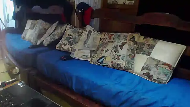 laye19 online show from 17, 11, 2025