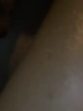 HBYAM online show from 30, 12, 2024