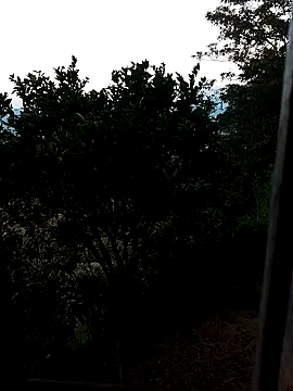 AuroraBon online show from 10, 12, 2024