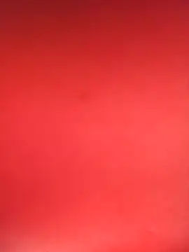 Oliviaconstantino online show from 1, 2, 2025