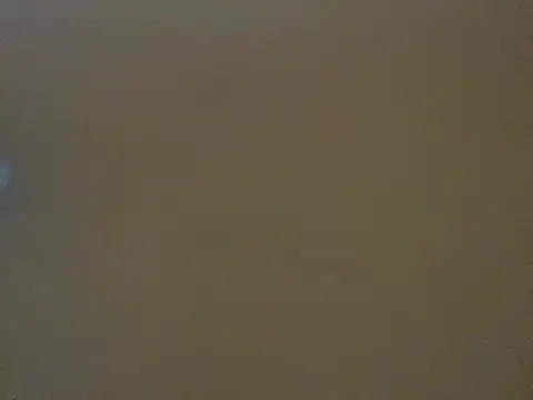 falloso77 online show from 16, 5, 2026