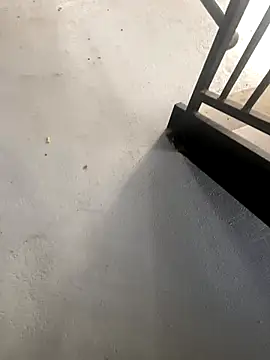 zeekBbc online show from 27, 10, 2025