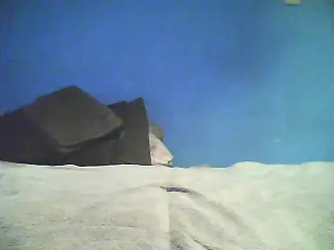 Snapshot of Vago745 chatting on 2, 12, 2024 Vago745 online show from 2, 12, 2024