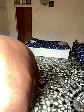 wild x predator online show from 25, 10, 2025