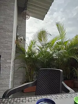 Laura fernandezII online show from 24, 2, 2026