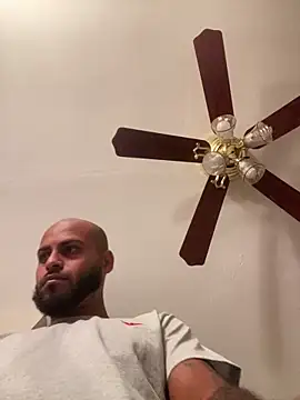 islandvybee55 online show from 2, 3, 2026