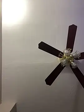 islandvybee55 online show from 15, 4, 2026