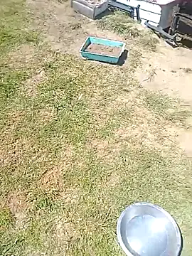 hornyhippies0080 online show from 4, 3, 2026