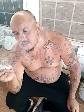 wilsons12 online show from 20, 9, 2025