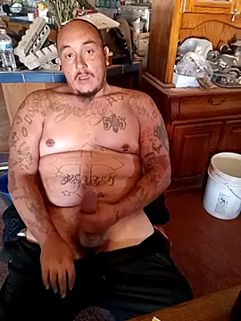 wilsons12 online show from 14, 11, 2025