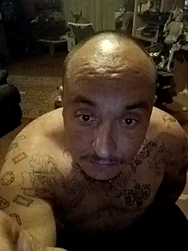 wilsons12 online show from 14, 2, 2026