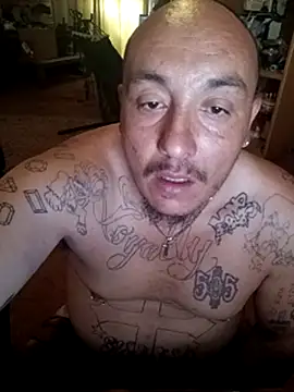 wilsons12 online show from 27, 3, 2026