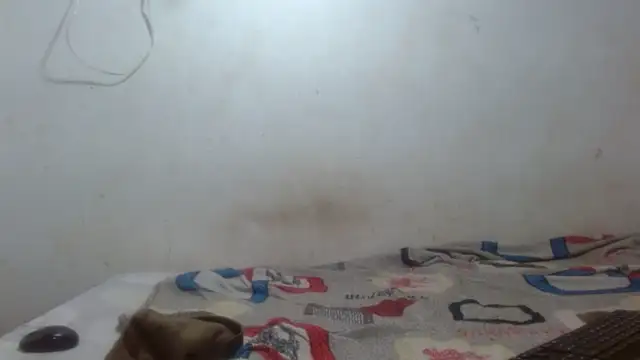 damian bottom bigcock online show from 16, 2, 2026