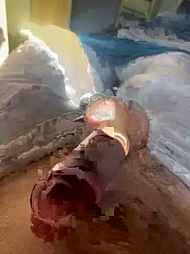 toto36643 online show from 23, 2, 2026