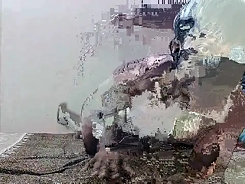 HunkyAriyan online show from 11, 11, 2025