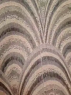 Smartboi007 online show from 11, 12, 2024