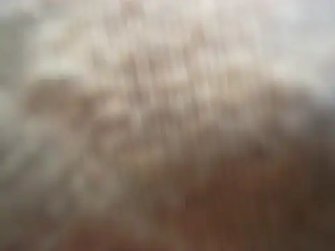 expression queen online show from 10, 4, 2026