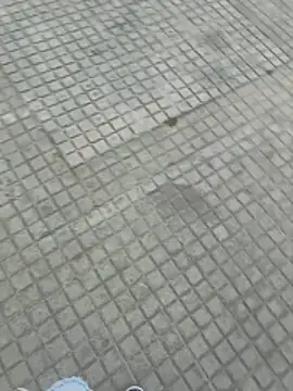 jovenestraviesos online show from 1, 3, 2026