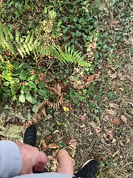 mj23641 online show from 27, 9, 2025