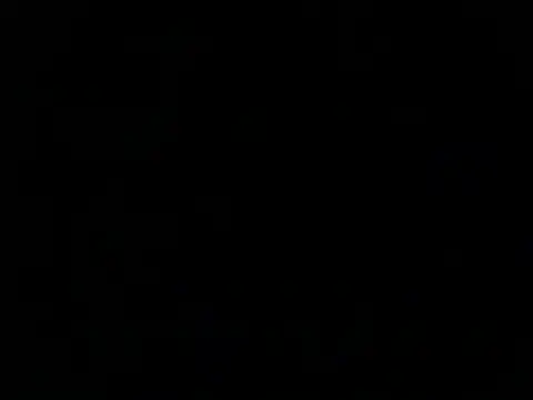 Bitter  online show from 5, 3, 2025