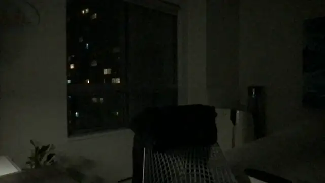 Gingerbushguy online show from 29, 12, 2024