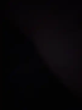 Gingerbushguy online show from 15, 2, 2025