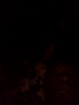 Snapshot of Hilkanna_ chatting on 8, 3, 2026 Hilkanna online show from 8, 3, 2026