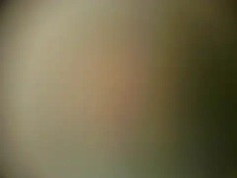 Snapshot of TheSweetBerry chatting on 28, 3, 2026 TheSweetBerry online show from 28, 3, 2026