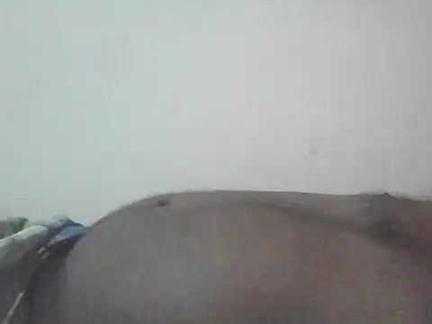 Snapshot of nikini1621 chatting on 8, 9, 2025 nikini1621 online show from 8, 9, 2025