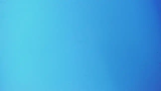  hairybeard  online show from 25, 2, 2025