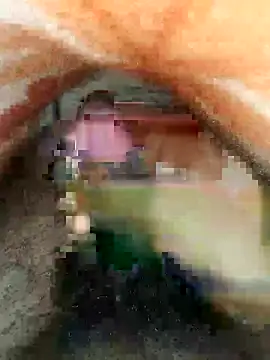 cjonybab online show from 18, 2, 2025