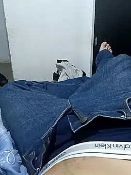 C vas  online show from 13, 12, 2024