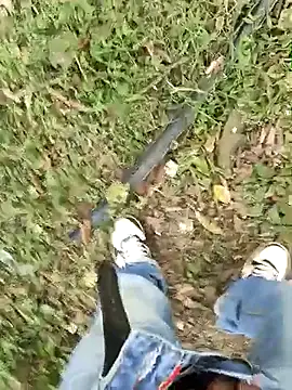 C vas  online show from 3, 3, 2025